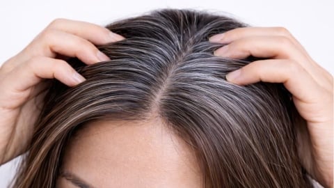一有白髮就拔！會讓白髮消失還是越拔越多？