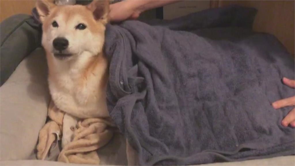 冬天睡覺「雙腳冰到炸」藏被窩也沒用！醫警告「內建1功能壞了」做2事秒變大暖爐