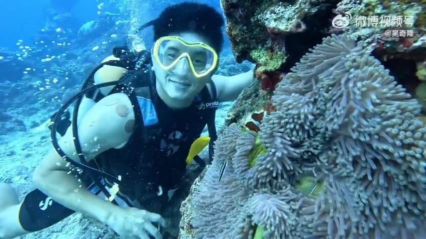 劉詩詩39歲生日「吳奇隆1動作」遭中網疑有情況？他揭「夫妻近況」房產內幕爆出