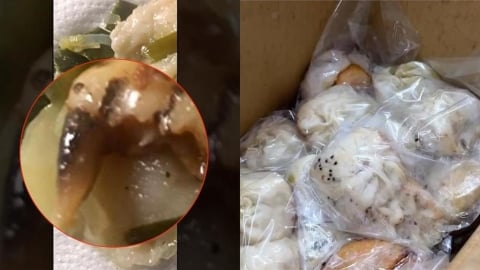 阿公嗑水煎包「內餡藏齒狀硬物」人掉的？原主人「恐患牙周病」醫證實了