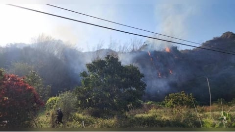 六龜山林大火延燒3公頃　消防出動「無人機」空陸合力5小時成功撲滅