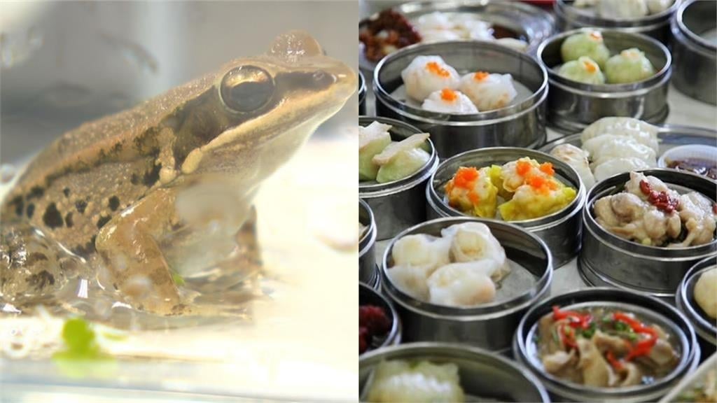 8颱風今年確定除名！奇葩新名從「青蛙到點心」網笑：有珍奶嗎？