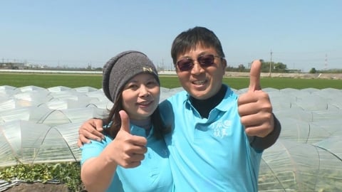 熱搜／一圓香瓜夢！　電機碩士放棄高薪返鄉種瓜