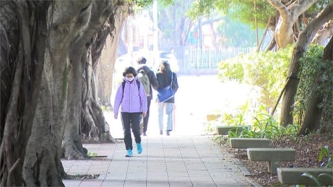輻射冷卻影響！早晚偏冷日夜溫差大　白天氣溫稍回升