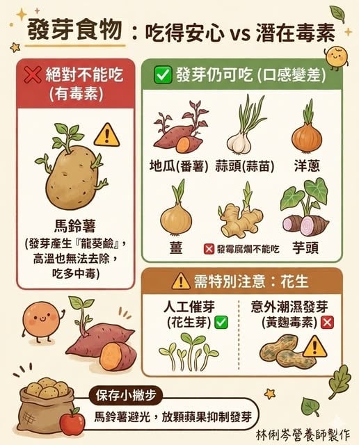 蔬菜發芽削掉就能繼續吃?營養師點名「1食物」吃下恐危及生命!