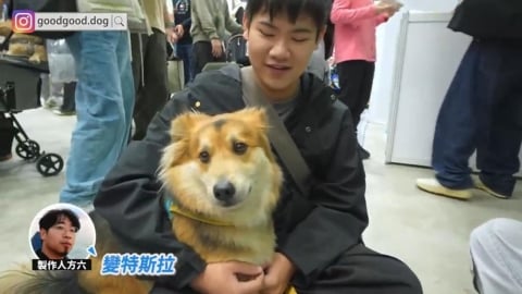 他逛寵物展驚見「特斯拉犬」?網笑翻:真的有像