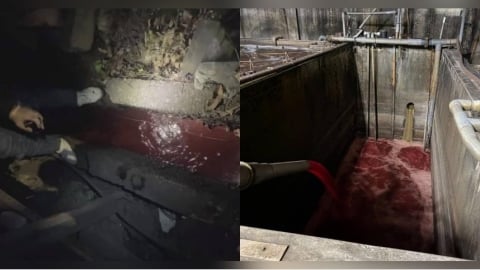 新北食品廠「偷排腥臭血色廢水」遭環保局勒令停工　黃淑君抓包：還在排放