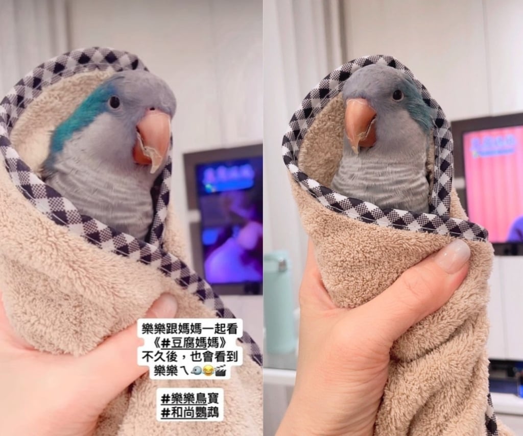 《豆腐媽媽》最強星二代登場!潘奕如曝「新角色」正面萌照 嗨喊:初嘗星媽滋味