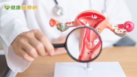 因備孕發現子宮頸癌前病變!醫籲:早期切除才能安心備孕