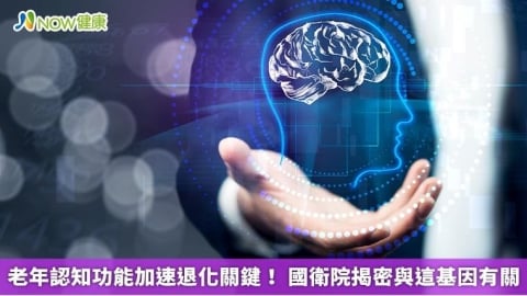 老年認知功能加速退化關鍵! 國衛院揭密與這基因有關