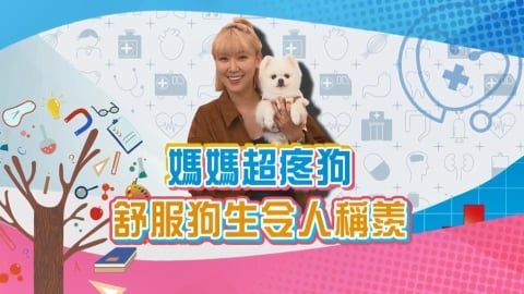 (影)/李懿愛犬好狗命 餵的是「仙食」令人稱羡?