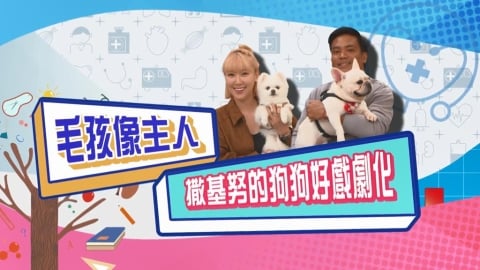 (影)／毛孩像主人 撒基努的狗狗好戲劇化？