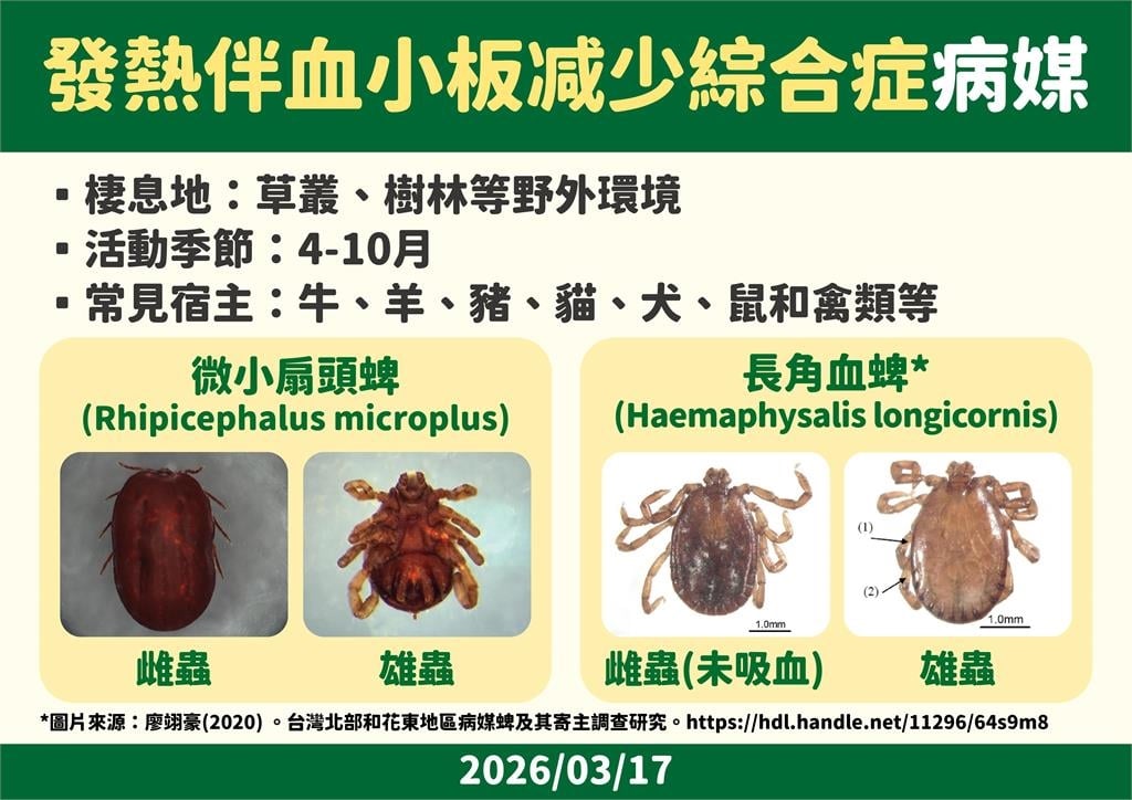 最新／3年來首例SFTS蜱蟲病例！感染源未明　疾管署緊急匡列9人