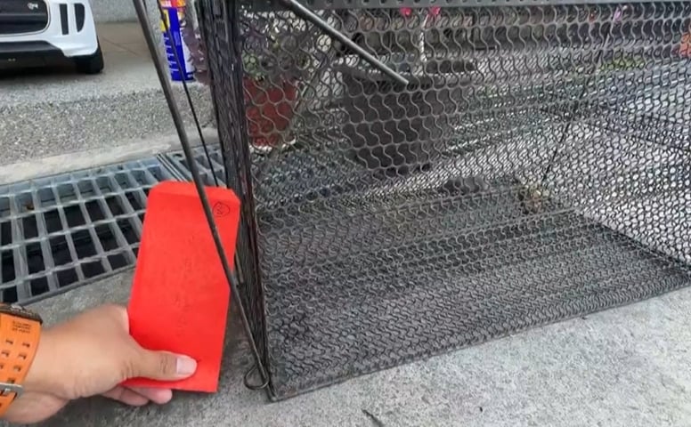 真帶財!清潔隊抓到錢鼠 隊員意外撿到裝錢紅包