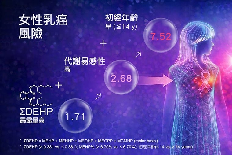 20年大規模乳癌研究 塑化劑、代謝率差及初經早風險增