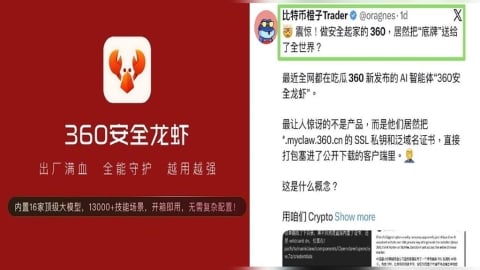 獨家／中國「養龍蝦」出事了　百億資安巨擘「弱智級」錯誤淪國際笑柄