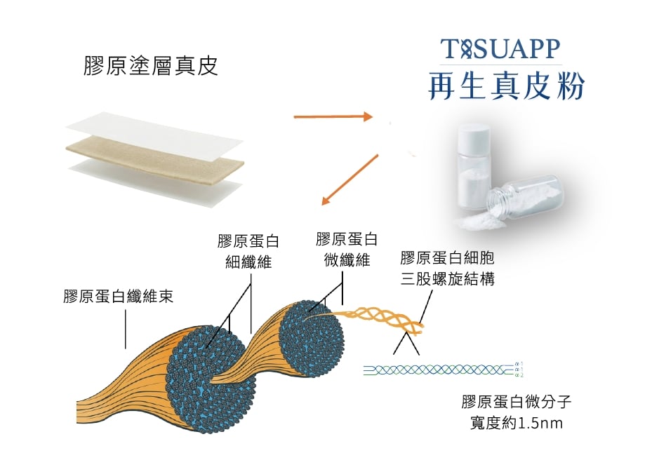 許維恩乳癌重建神助攻！醫師解析「異體真皮」關鍵角色