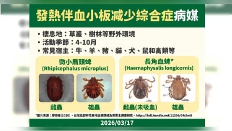 北部男染「SFTS蜱蟲病」全身無力、發燒想吐　疾管署：致死率最高達3成