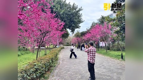 2026國旅補助最快4月上路　壽星連住最高可拿3200元