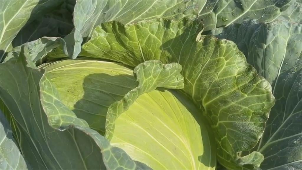 早餐吃全麥吐司配花生醬很健康？醫曝這組合是慢性毒素：六旬男天天吃險洗腎