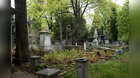 不祭祖就不孝？老一輩憂不拜祖先　網：活著孝順更重要