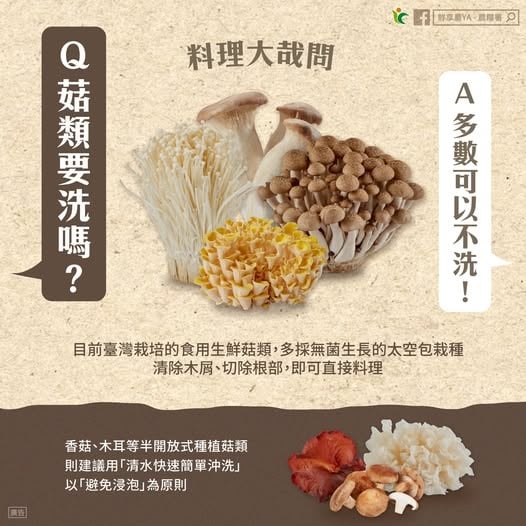 營養師曝「菇類煮前不用洗」?她點名「1品種」低卡還能變聰明!