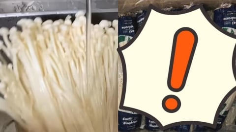 營養師曝「菇類煮前不用洗」？她點名「1品種」低卡還能變聰明！