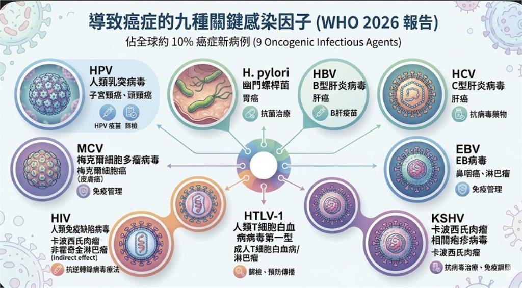 近40%癌症其實可預防！醫點名「感染因子」成最大殺手…3大救命關鍵一次看