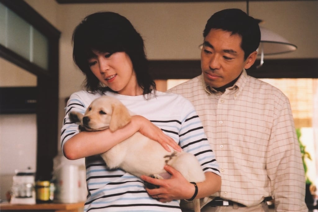 感動22年名作再現大銀幕  《再見了，可魯》推出數位經典重映