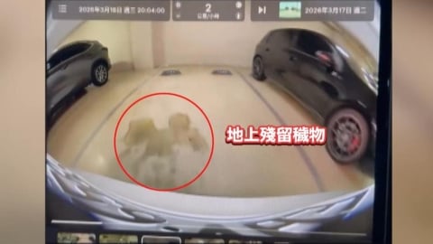 台中商場停車場「這疏失」　車主甫牽新車遭排泄物攻擊