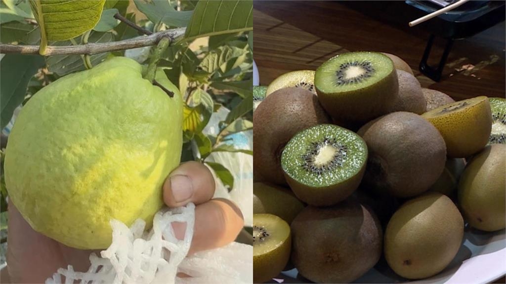 飯後吃水果助消化卻「越吃越肥」？營養師授「3招」吃對時間很重要！