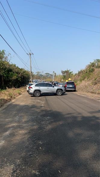 門票0元快衝！　台中螢火蟲聖地「東勢林場」吸大批民眾