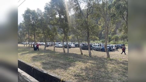 門票0元快衝！　台中螢火蟲聖地「東勢林場」吸大批民眾