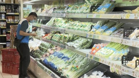 容易掉髮、疲倦竟是缺鐵症狀?營養師揭12種高鐵蔬菜:這款勝牛肉8倍