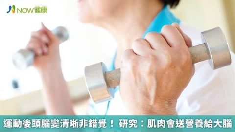 運動後頭腦變清晰非錯覺! 研究:肌肉會送營養給大腦