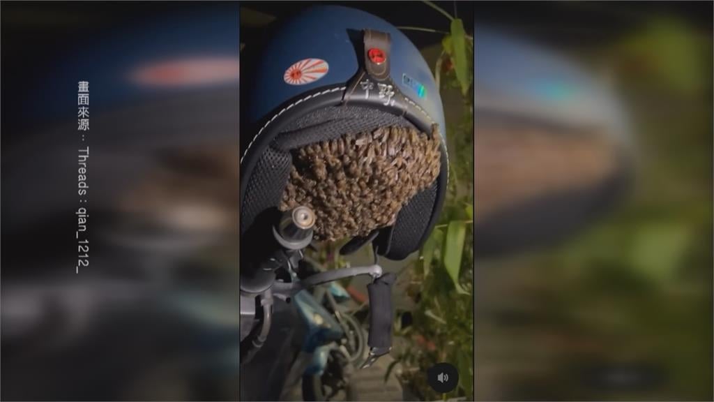 台南機車騎士出門驚見「安全帽內塞滿蜜蜂」　原來是這個原因