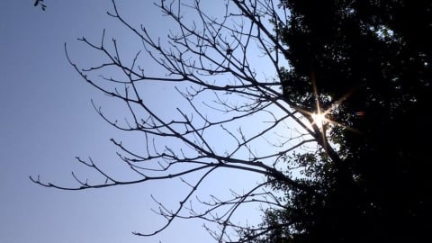 中南部高溫上看32度！東北季風減弱漸回溫　迎風面須留意雨勢