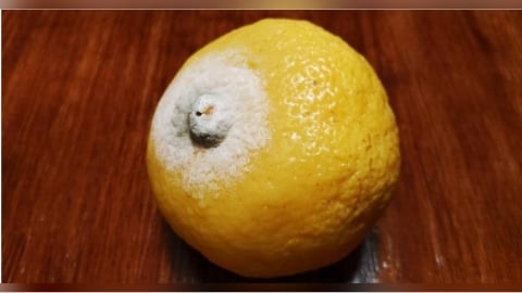 水果「削掉發霉處」還能吃？美女營養師揭菌絲早滲透整顆：省小錢賠健康
