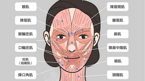 肉毒桿菌施作前評估與注射技術解析：醫師說明影響結果的關鍵因素
