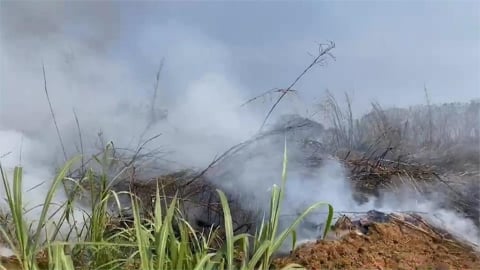 清明掃墓「4生肖」易沖煞！專家揭「11大禁忌別亂做」踏入1地恐出事