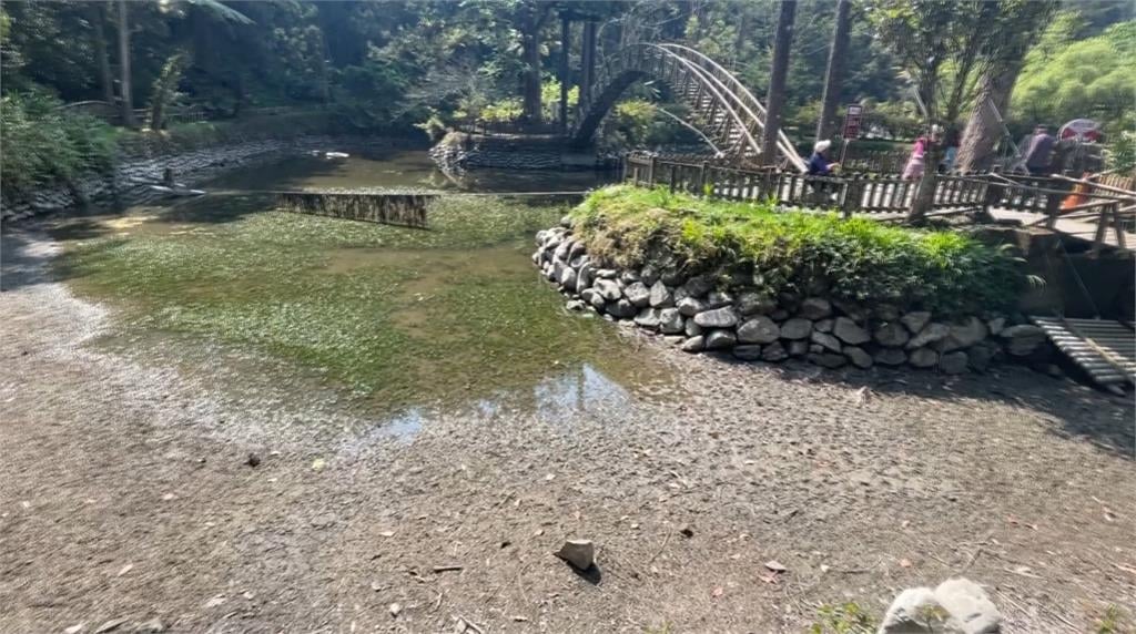 水情吃緊！溪頭大學湖快見底　專家籲：節約用水
