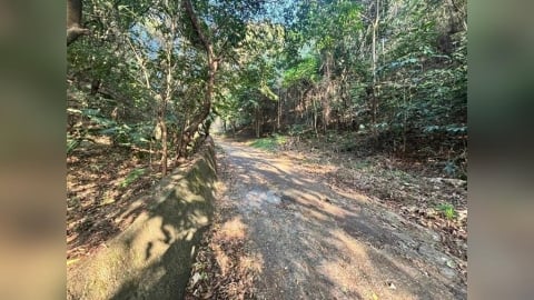 男遭「削臉挖眼」棄屍！彰化駭人命案　兩主嫌收押