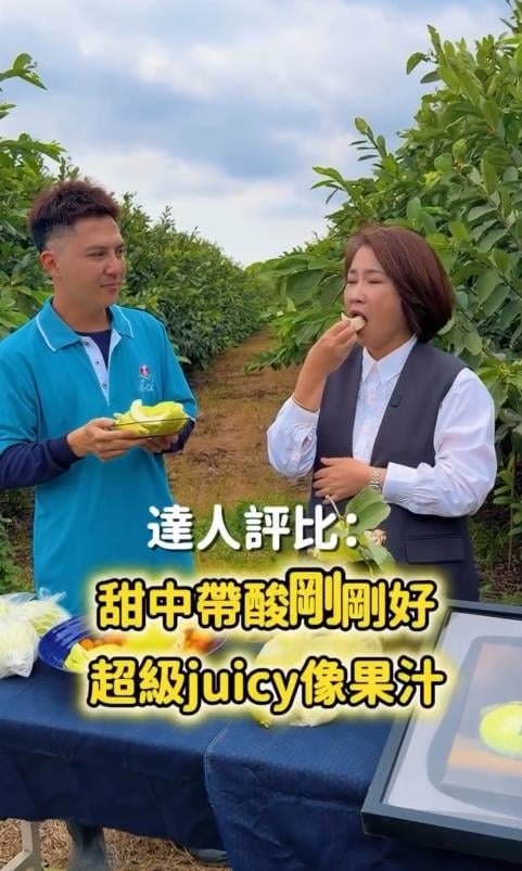 楊忠憲芭樂Threads意外走紅！周春米衝果園「朝聖本人」好吃原因曝光