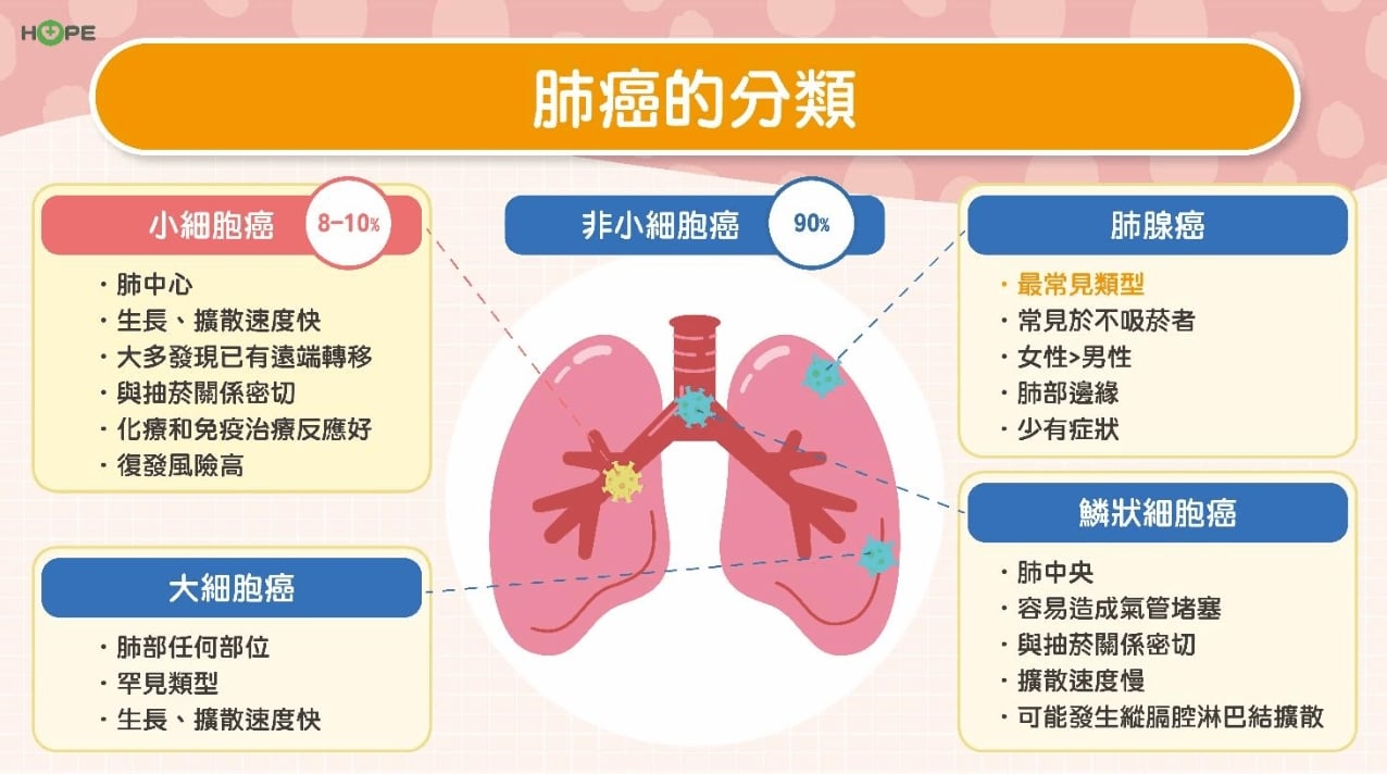 晚期肺癌不絕望！ALK基因陽性標靶接力治療　活過五年不是夢