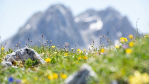 春季溫差對心血管的影響：專家解析相關風險因素