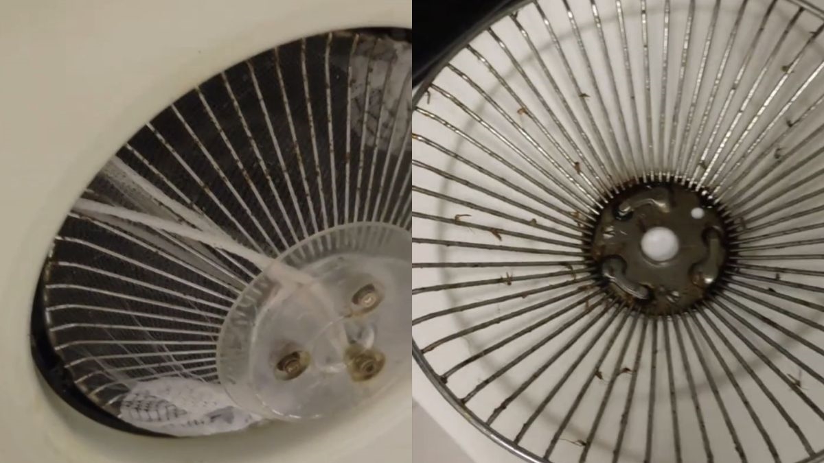 圖／網友在社群平台發文指出，家中蚊子疑似從抽油煙機排風孔進入室內。（翻攝 Threads）