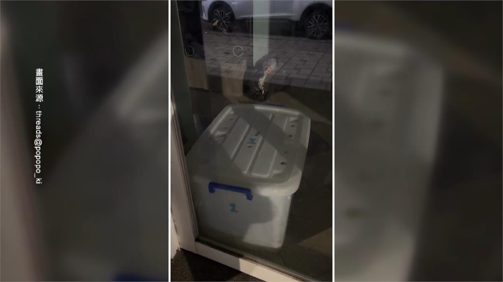 疑不當對待! 台中寵物店"收納箱裝狗"毛孩驚嚇猛撞