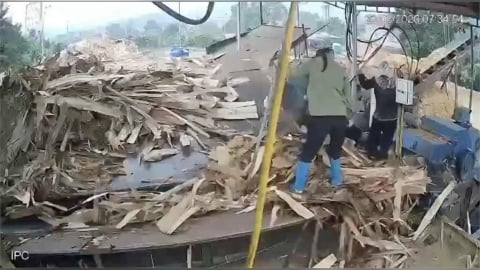 救不回！越南女工遭捲入木材機慘死　同事拉不回崩潰