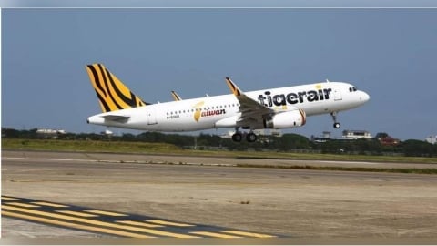 台灣虎航首推股東專屬優惠！持1股就能拿回饋金　領取資格、方式一次看