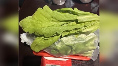 北市最新稽查   萬有全、打狗霸、錢都、三媽臭臭鍋全爆農藥違規！